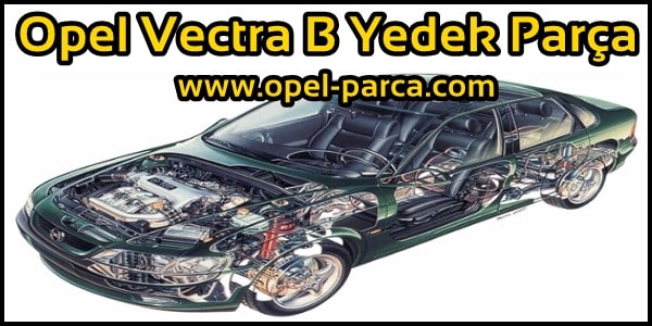 Vectra B